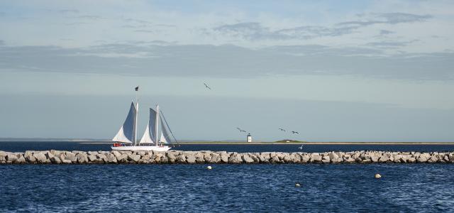 Sailboat